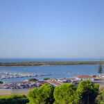 View of the Flecha of El Rompido on the horizon with the Piedras River in the foreground, a small harbour along the shoreline, and treetops framing the bottom of the image.