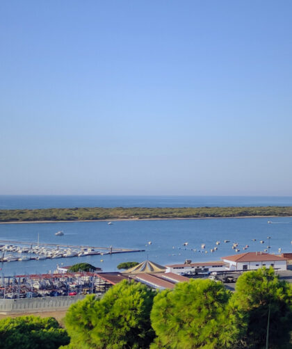 View of the Flecha of El Rompido on the horizon with the Piedras River in the foreground, a small harbour along the shoreline, and treetops framing the bottom of the image.