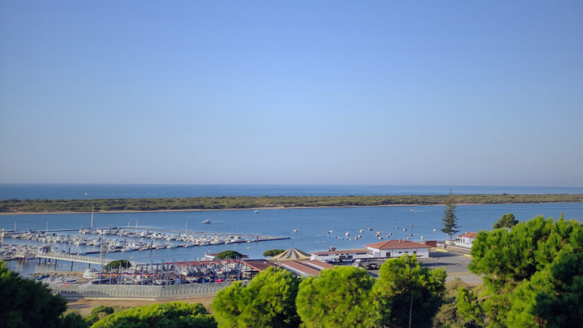 View of the Flecha of El Rompido on the horizon with the Piedras River in the foreground, a small harbour along the shoreline, and treetops framing the bottom of the image.